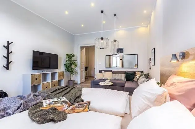 Deluxe Apart Daire, 1 Çift Kişilik Yatak ve Çekyat (2)