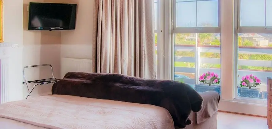 Deluxe Tek Büyük Yataklı Oda, Balkon, Deniz Manzaralı