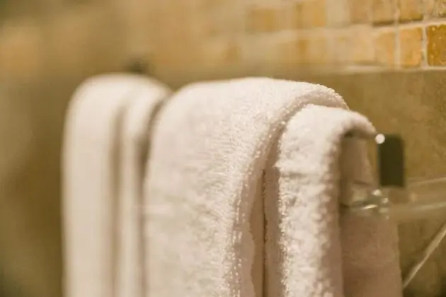 Deluxe Oda, 2 Yatak Odası, Balkon, Bahçe Manzaralı