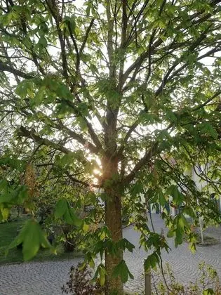 Büyük Yataklı Tek Kişilik Oda