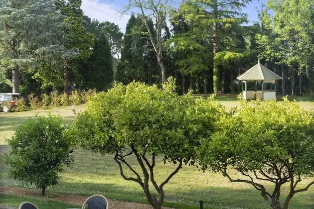 Deluxe Tek Büyük veya İki Ayrı Yataklı Oda