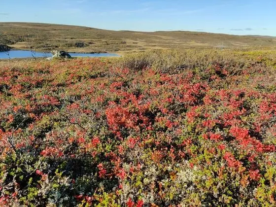 Apart Daire, 2 Yatak Odası, Sauna