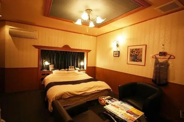 Standard Tek Büyük Yataklı Oda, Sigara İçilebilir (Love Hotel)