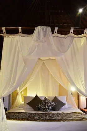 Lanai Cottage Ocean View (Free Snorkling)