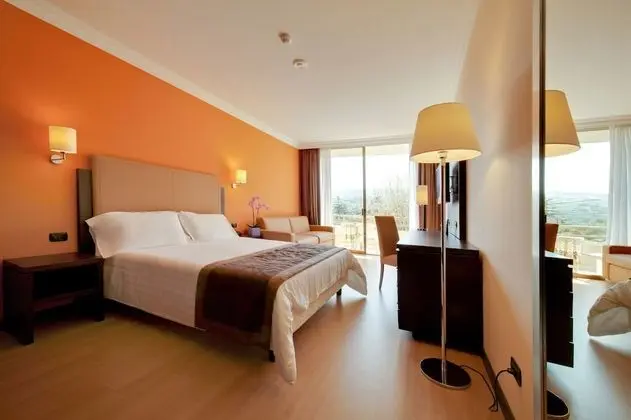 Superior Tek Büyük veya İki Ayrı Yataklı Oda, Balkon