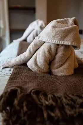Olifant Villa Suite