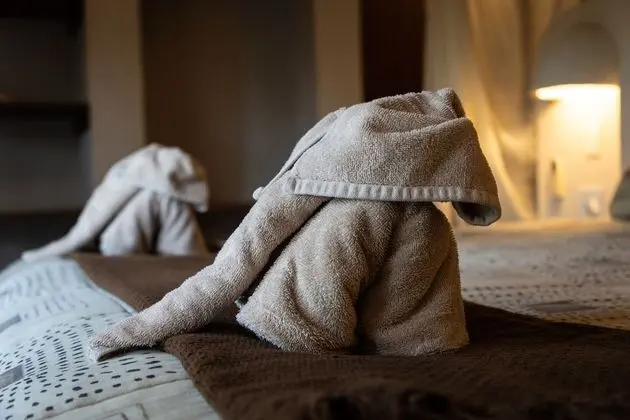 Olifant Villa Suite