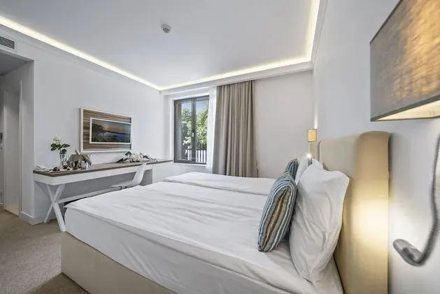 Standard Tek Büyük veya İki Ayrı Yataklı Oda, Park Manzaralı