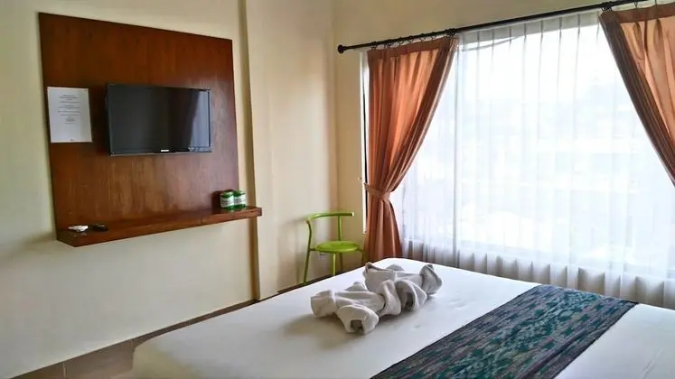 Deluxe Tek Büyük Yataklı Oda