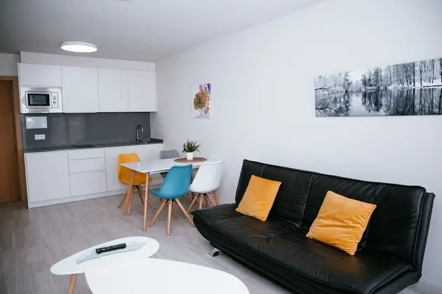 Apart Daire, 1 Yatak Odası