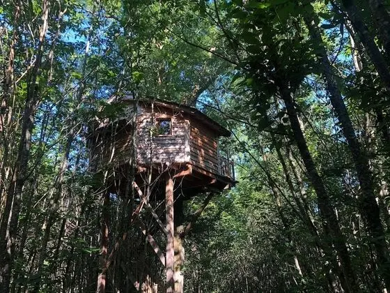 Ağaç Ev (Cabane Escalier)