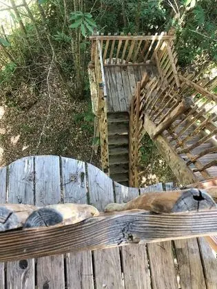 Ağaç Ev (Cabane Escalier)