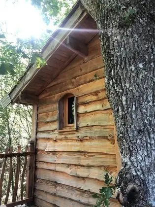 Ağaç Ev (Cabane Escalier)