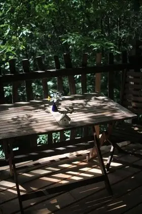 Ağaç Ev (Cabane Escalier)