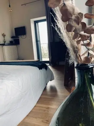 Tek Büyük Yataklı Oda, 1 Büyük (Queen) Boy Yatak, Havuz Manzaralı (Ô De Glace)