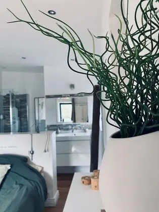 Tek Büyük Yataklı Oda (Ô Naturel)