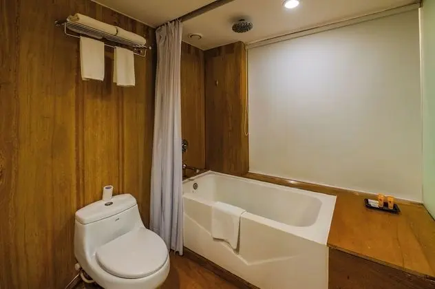 Deluxe Room King Bed with Balcony and Bathtub