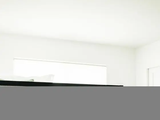 Ev