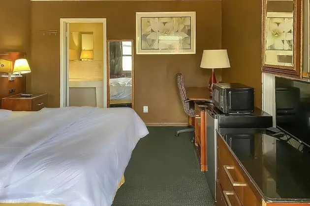 Oda, 1 En Büyük (King) Boy Yatak, Sigara İçilebilir