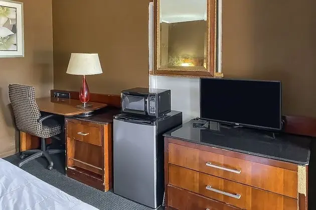 Oda, 1 En Büyük (King) Boy Yatak, Sigara İçilebilir