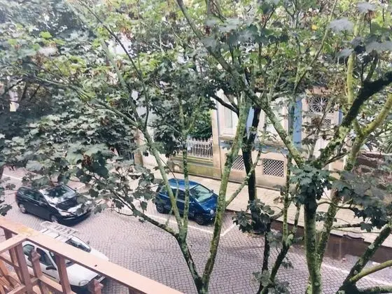 Bed in a Shared Mixed Dormitory ( 12 pax)