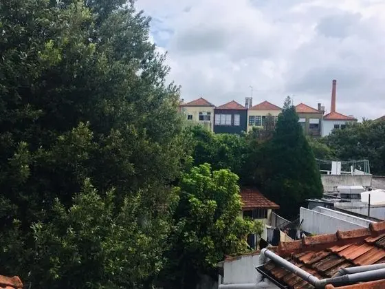 Bed in a Shared Mixed Dormitory ( 8 pax)