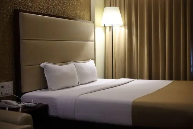 Premium Süit, 1 Yatak Odası, Buzdolabı, Şehir Manzaralı