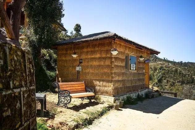 Wood Cabin
