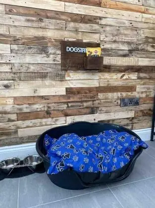 Kır Evi, Engellilere Uygun, Özel Banyo