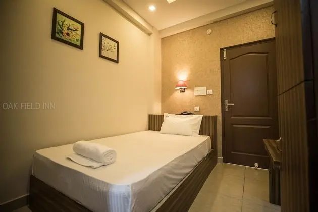 Standard Tek Kişilik Oda, 1 Tek Kişilik Yatak, Şehir Manzaralı
