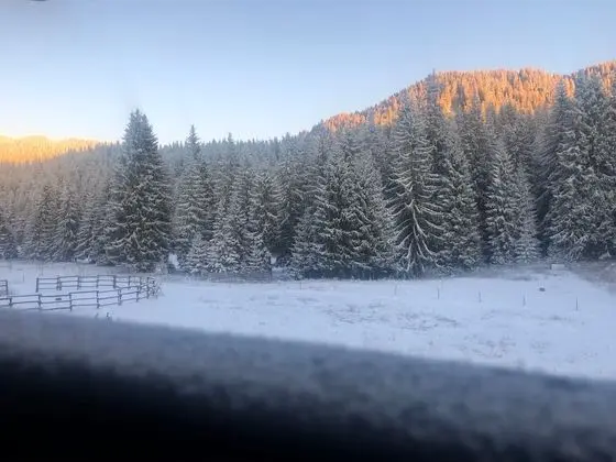 Tek Büyük veya İki Ayrı Yataklı Oda, Balkon
