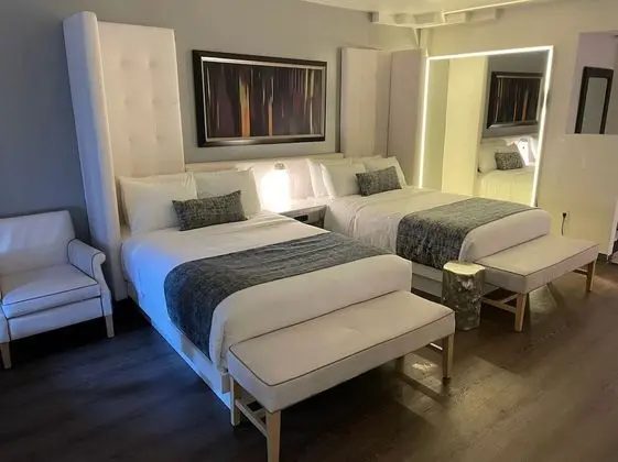 Deluxe Tek Büyük veya İki Ayrı Yataklı Oda