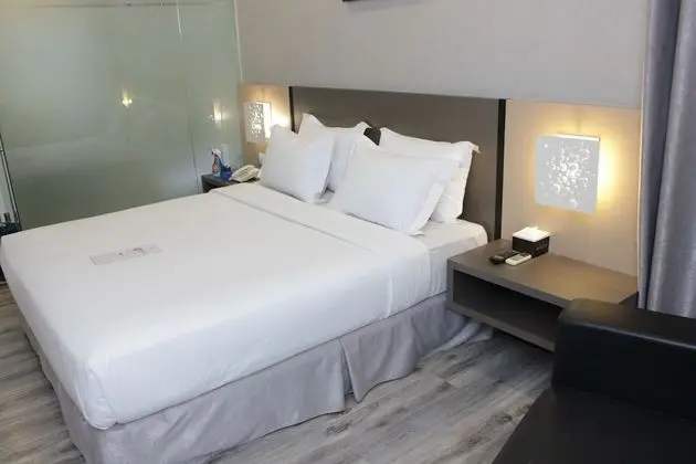 Deluxe Tek Büyük Yataklı Oda, 1 En Büyük (King) Boy Yatak, Sigara İçilmez, Şehir Manzaralı