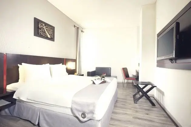 Deluxe Tek Büyük Yataklı Oda, 1 En Büyük (King) Boy Yatak, Sigara İçilmez, Şehir Manzaralı