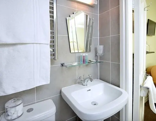 Superior Tek Büyük Yataklı Oda (King Room with Shower)
