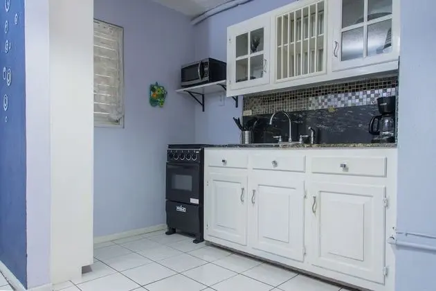 Apart Daire, 1 En Büyük (King) Boy Yatak, Sigara İçilmez