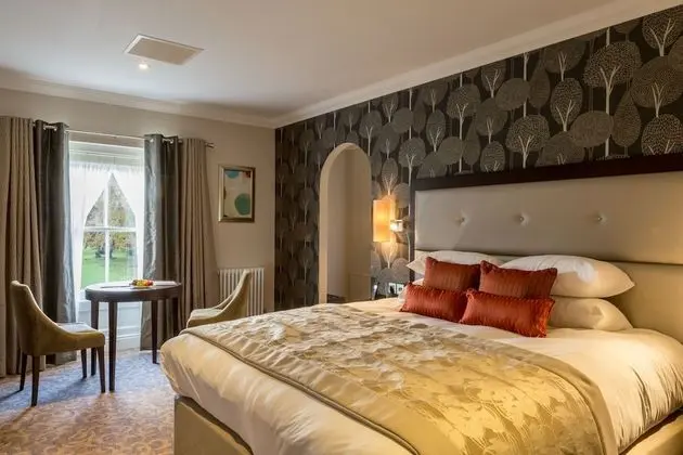 Deluxe Oda, 1 En Büyük (King) Boy Yatak