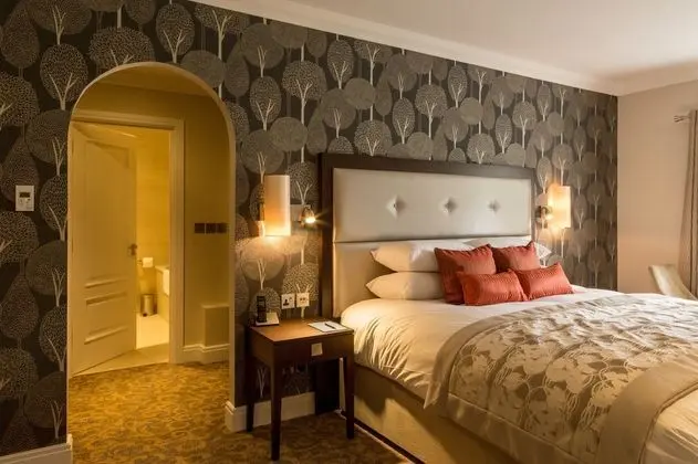 Deluxe Oda, 1 En Büyük (King) Boy Yatak