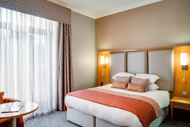 Deluxe Oda, 1 En Büyük (King) Boy Yatak