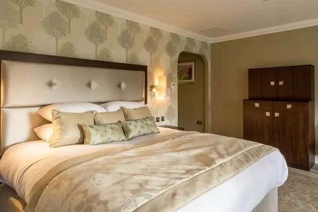 Superior Oda, 1 En Büyük (King) Boy Yatak (Executive Room)