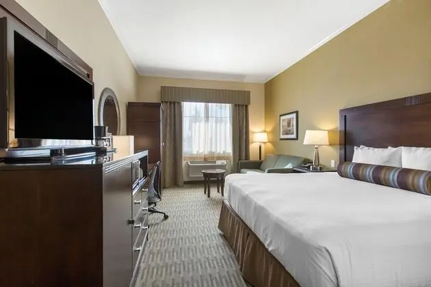 Standard Room, 1 King Bed with Sofa bed, Non Smoking