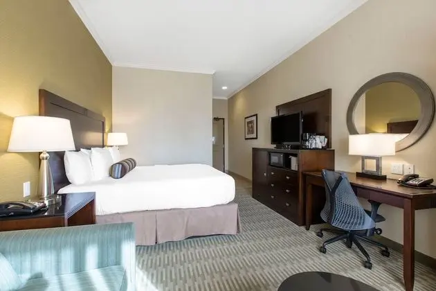 Standard Room, 1 King Bed with Sofa bed, Non Smoking