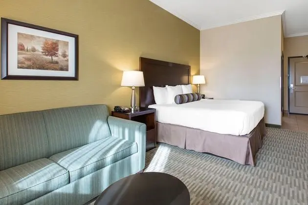 Standard Room, 1 King Bed with Sofa bed, Non Smoking (Pet Friendly)