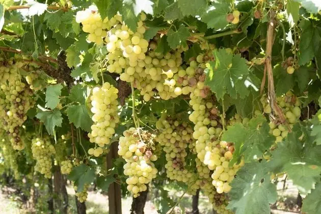 Deluxe Ev, Birden Çok Yatak, Sıcak Su Havuzu, Bahçe Manzaralı