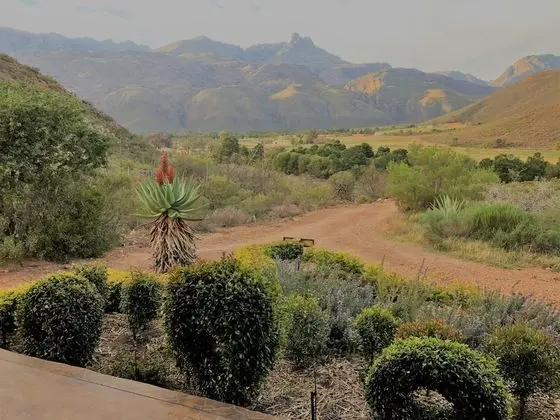 Executive Stüdyo Süit, 1 Büyük (Queen) Boy Yatak, Engellilere Uygun, Dağ Manzaralı