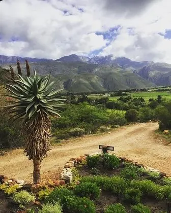 Executive Stüdyo Süit, 1 Büyük (Queen) Boy Yatak, Engellilere Uygun, Dağ Manzaralı