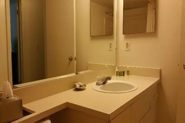Apart Daire, 1 Yatak Odası (Furnished)