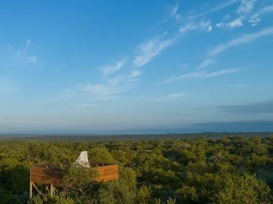 Panoramic Oda