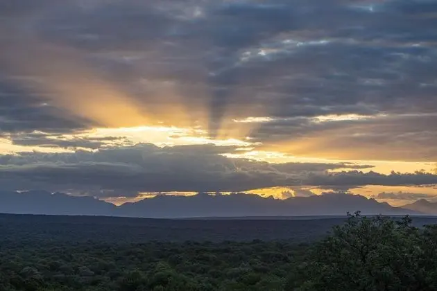 Panoramic Oda