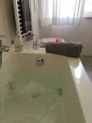 Comfort Tek Büyük veya İki Ayrı Yataklı Oda, Park Manzaralı